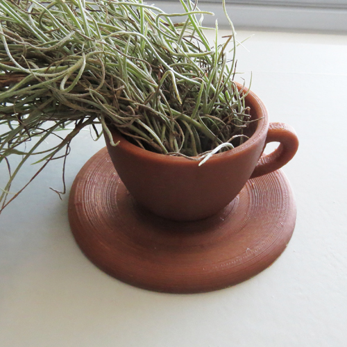 공기청정식물 수염 틸란드시아 화분 Set - 커피잔