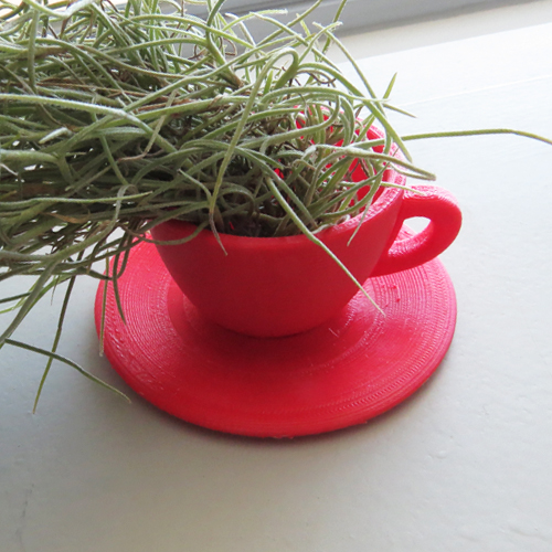 공기청정식물 수염 틸란드시아 화분 Set - 커피잔